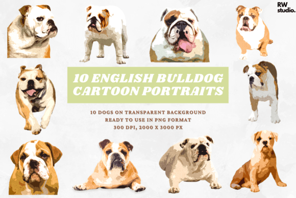 10 English Bulldog Cartoon Portraits Dog