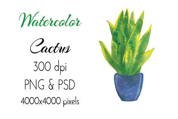 Pot Plant Watercolor Hand Drawn PNG PSD: A Versatile Asset for Creative Projects