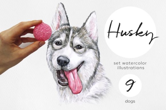 Watercolor Set Dog Siberian Husky: A Creative Asset for Designers and Artists